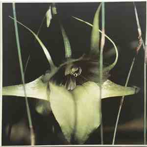 Psychic TV - Dreams Less Sweet