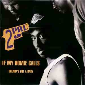2Pac - If My Homie Calls / Brenda's Got A Baby
