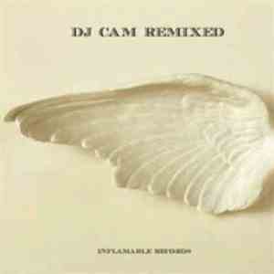 DJ Cam - Remixed