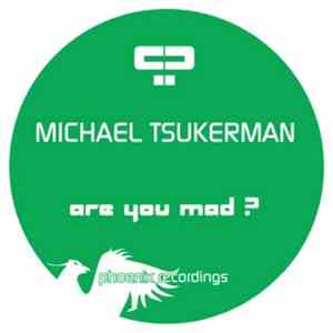 Michael Tsukerman - Are You Mad ?