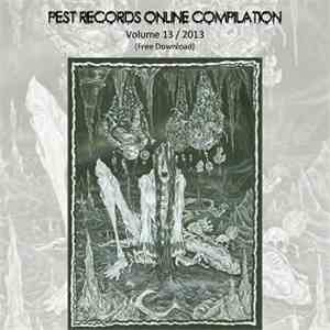 Various - Pest Records Online Compilation Vol.13
