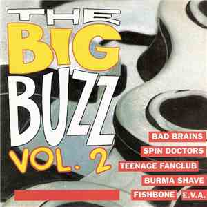 Various - The Big Buzz Vol.2