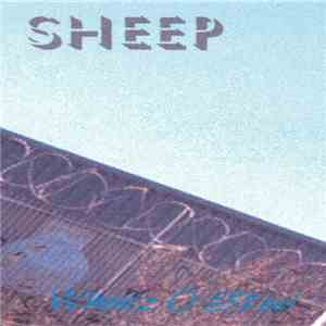 Sheep - Wheelz O Steel