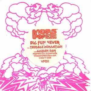 Big Fun 4ever - Teenage Sensation