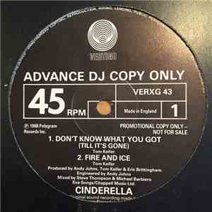 Cinderella  - Don't Know What You Got (Till It's Gone)