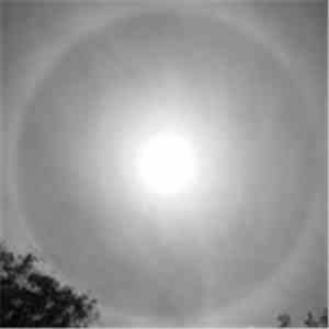 Noint? - Halo