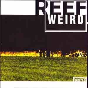 Reef - Weird