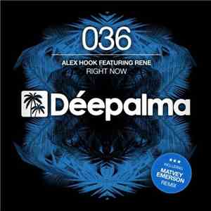 Alex Hook Featuring Rene  - Right Now
