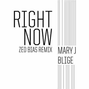 Mary J. Blige - Right Now (Zed Bias Remix)
