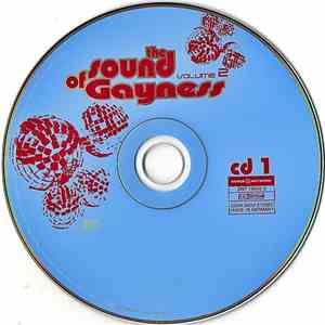 Various - The Sound Of Gayness (Volume 2)