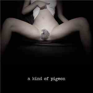 A Kind Of Pigeon - A Kind Of Pigeon