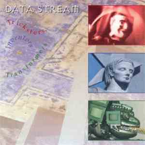 Data Stream - Tricksters, Inventors & Transformers