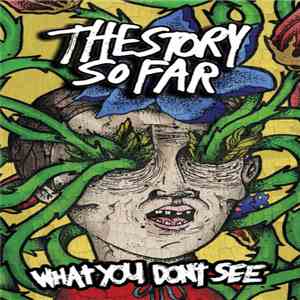 The Story So Far  - What You Don't See