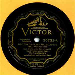 The Troubadours  - Ain't That A Grand And Curious Feeling? / Just Like A Butterfly