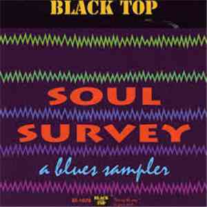 Various - Soul Survey (A Blues Sampler)
