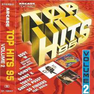Various - Top Hits 95 - Volume 2