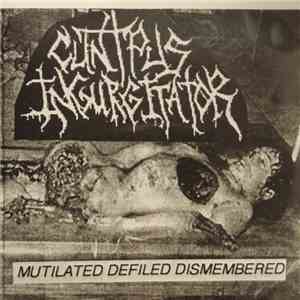 Cunt Pus Ingurgitator - Mutilated Defiled Dismembered