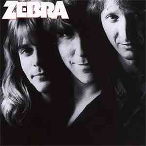 Zebra  - Zebra