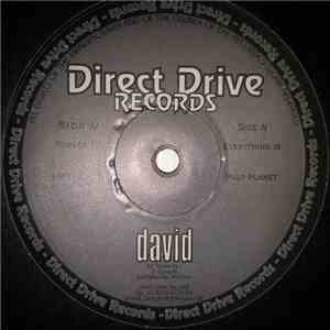 David - Everything Is