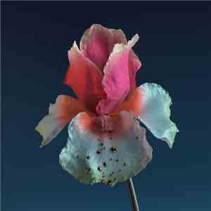 Flume - Skin: The Remixes