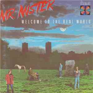 Mr. Mister - Welcome To The Real World