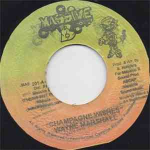 Wayne Marshall - Champagne Wishes