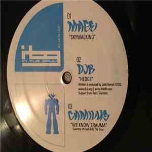 Mage / DJB / Camilus - In The Gruv EP