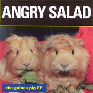 Angry Salad - The Guinea Pig EP
