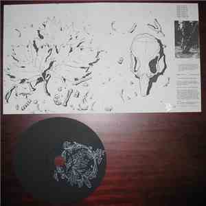 Black Moss - Dark Tones