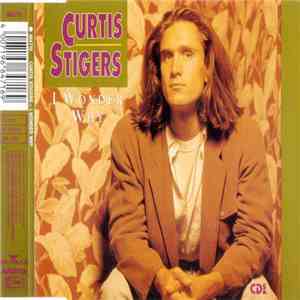 Curtis Stigers - I Wonder Why