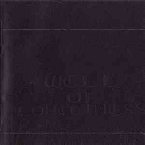 Groke - Well Of Loneliness