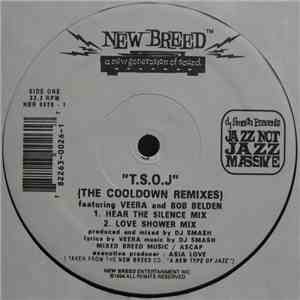 Jazz Not Jazz Massive - T.S.O.J. (The Cooldown Mixes)