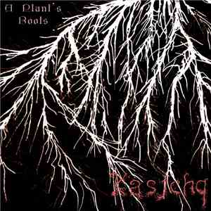 Kasjchq - A Plant's Roots