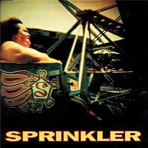 Sprinkler  - More Boy, Less Friend