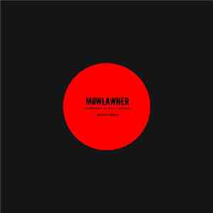 Mowlawner - Transient Global Amnesia