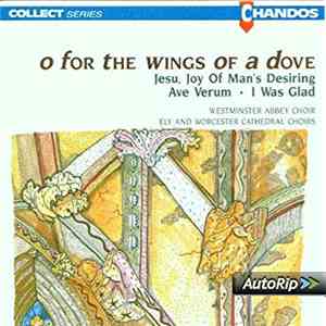 Westminster Abbey Choir, Ely Cathedral Choir & Worcester Cathedral Choir -  ...