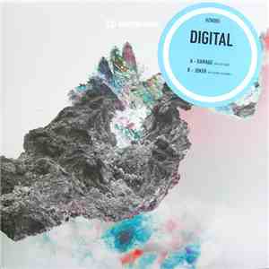Digital - Damage