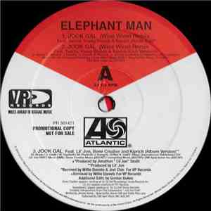 Elephant Man - Jook Gal (Remixes)