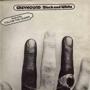 Greyhound  - Black And White