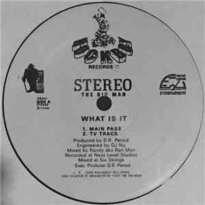 Stereo The Big Man - What Is It