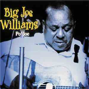Big Joe Williams - Po' Joe