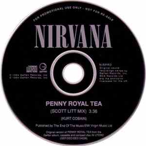 Nirvana - Penny Royal Tea (Scott Litt Mix)
