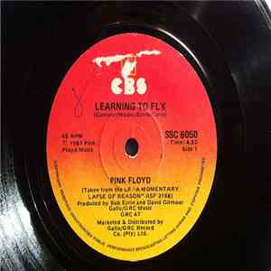 Pink Floyd - Learning To Fly / Terminal Frost