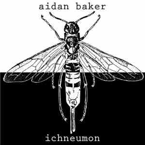 Aidan Baker - Ichneumon