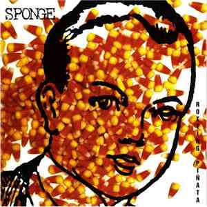 Sponge  - Rotting Piñata