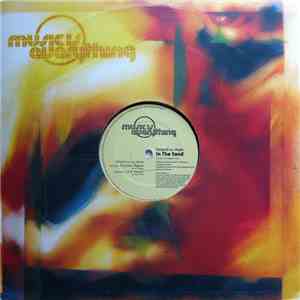 Panyard Featuring Royer - In The Sand