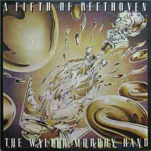The Walter Murphy Band - A Fifth Of Beethoven