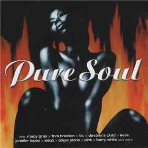 Various - Pure Soul - The Biggest Soulhits Of Today