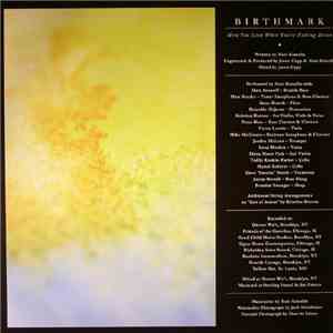 Birthmark - How You Look When You're Falling Down