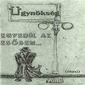 Ügynökség - Egyedül Az Esőben... (Maxi)